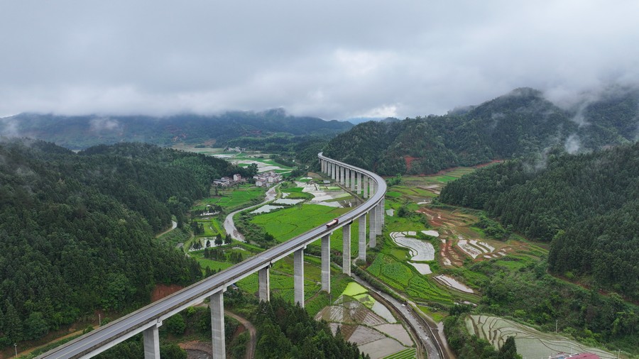 美麗鄉村“稻”路