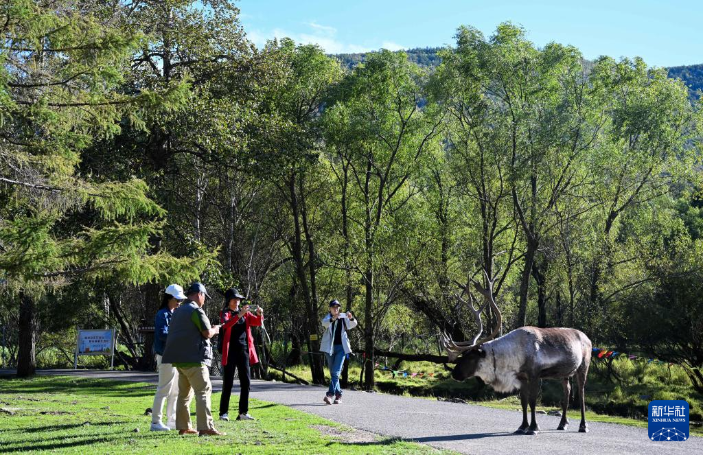 走進阿爾山國家級旅游度假區(qū)