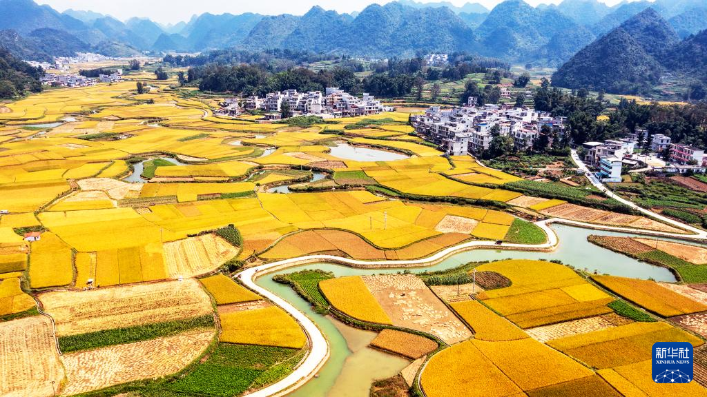 山鄉秋景