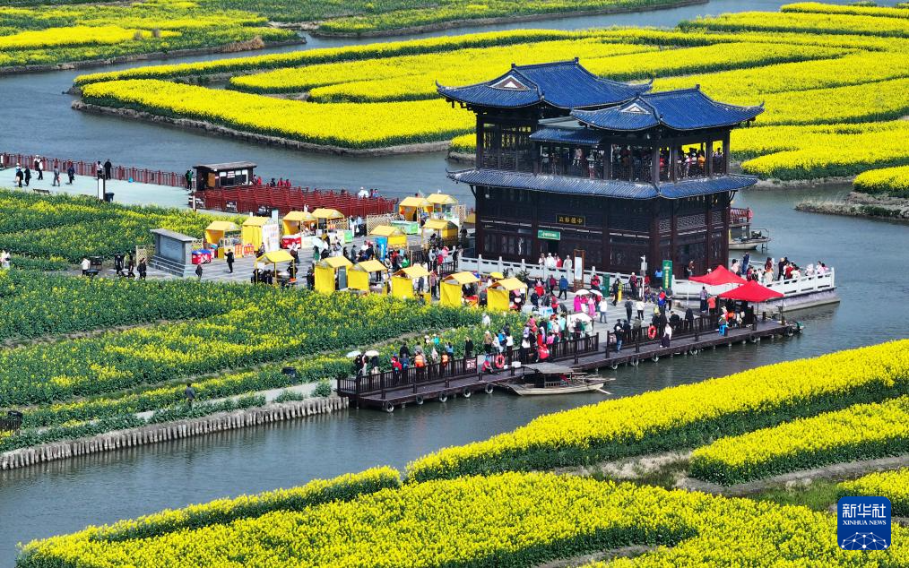江蘇興化：千垛花開迎客來