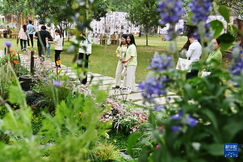 “療愈花園”點亮春日