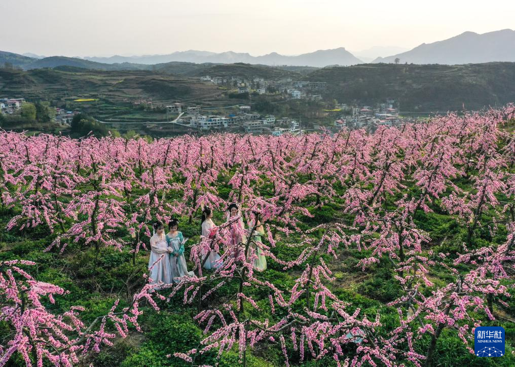 貴州貴定：“花樣”翻新撬動“春日經濟”